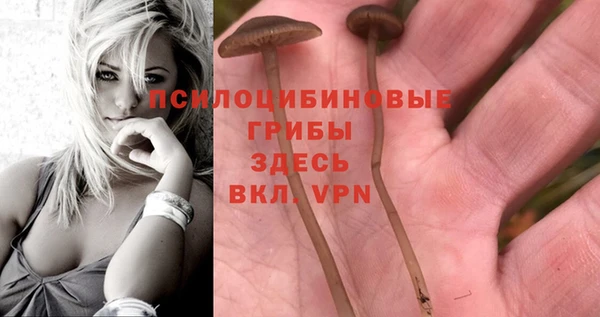 таблы Козловка