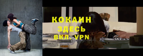 стаф Кодинск