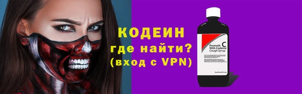 стаф Кодинск