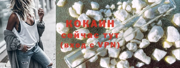 стаф Кодинск