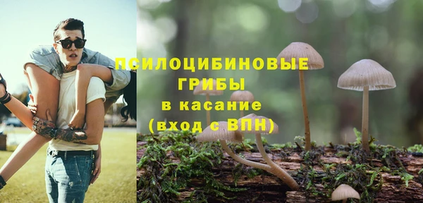 гидра Козельск