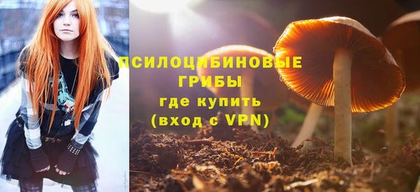 таблы Козловка