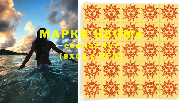 стаф Кодинск
