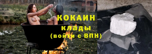 стаф Кодинск