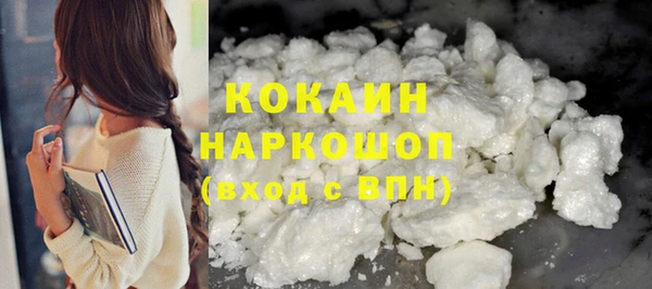 стаф Кодинск
