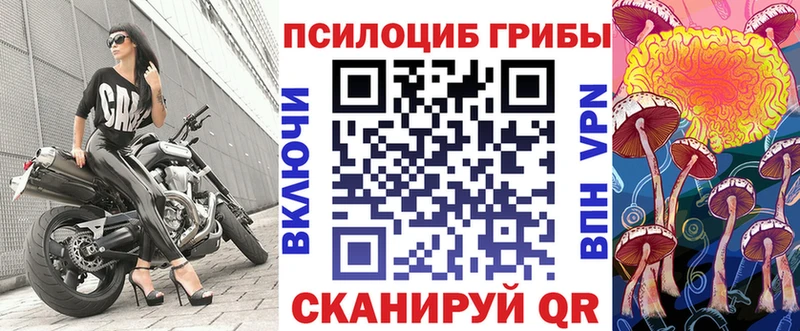 дарнет шоп  Топки  ОМГ ОМГ ССЫЛКА  Псилоцибиновые грибы Cubensis 