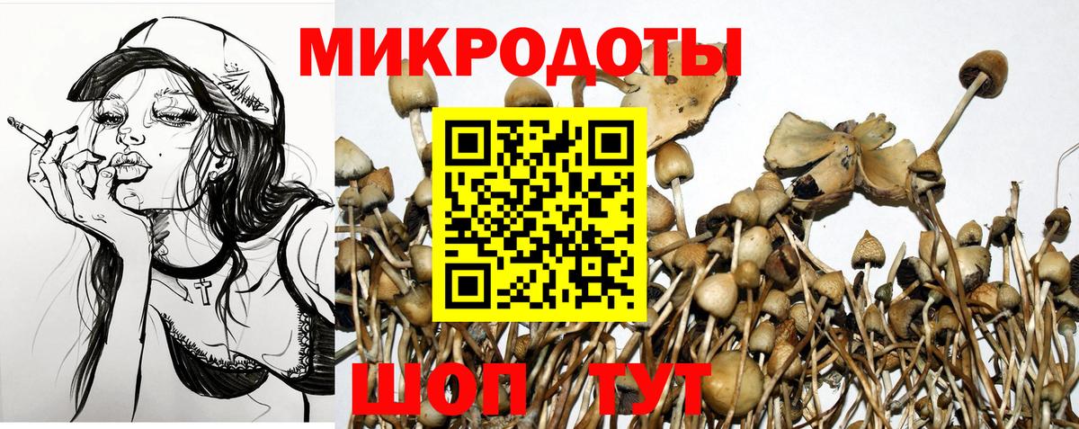 Псилоцибиновые грибы мухоморы Топки