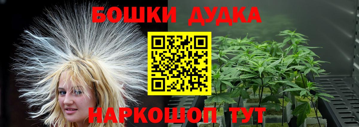 Бошки Шишки MAZAR Топки